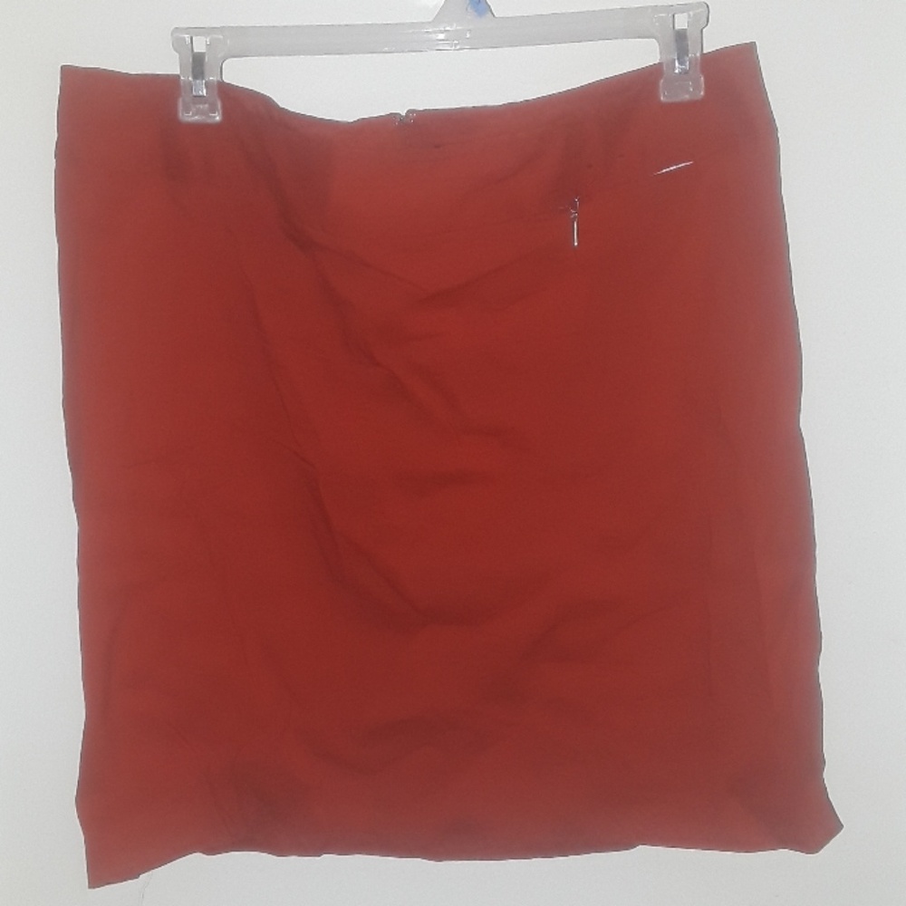 Lane Bryant Skirt